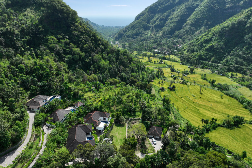 DJI_0877